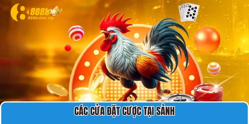 Các sân chơi đá gà S128 tại 888B