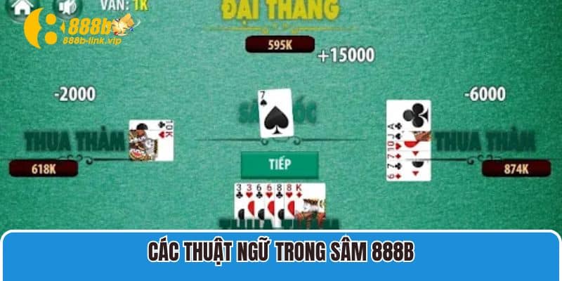 Các thuật ngữ trong sâm 888B