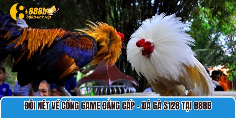 Đôi nét về cổng game đẳng cấp - Đá gà S128 tại 888B