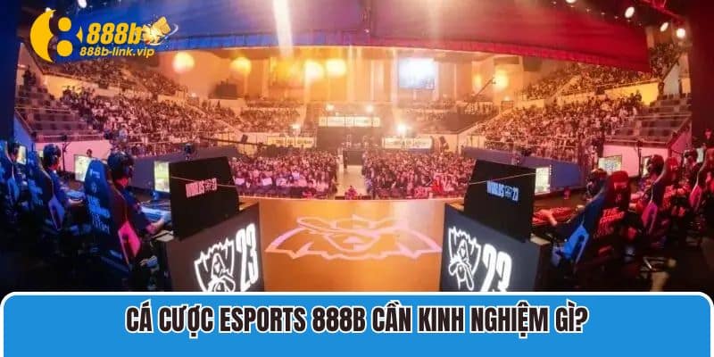 Cá cược Esports 888B cần kinh nghiệm gì?