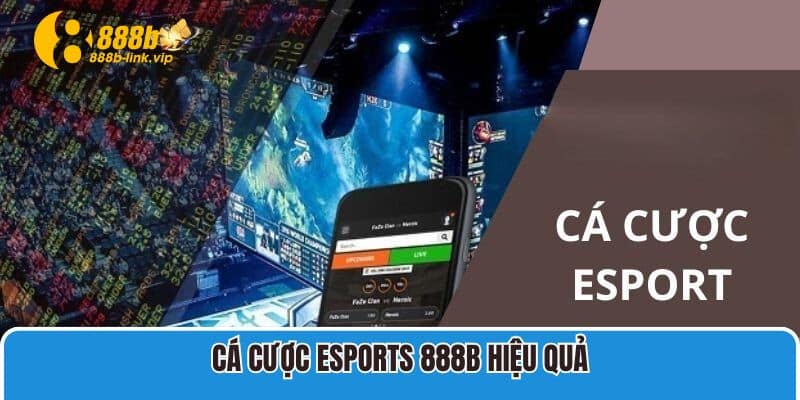 Cá cược Esports 888B hiệu quả