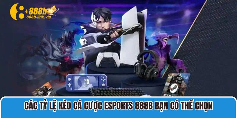 Các tỷ lệ kèo cá cược Esports 888B bạn có thể chọn