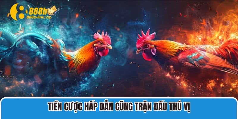 Tiền cược hấp dẫn cũng trận đấu thú vị